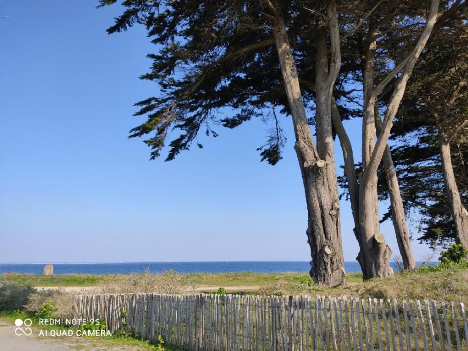 Logement En Rdc Port Haliguen Apartment Quiberon Ngoại thất bức ảnh